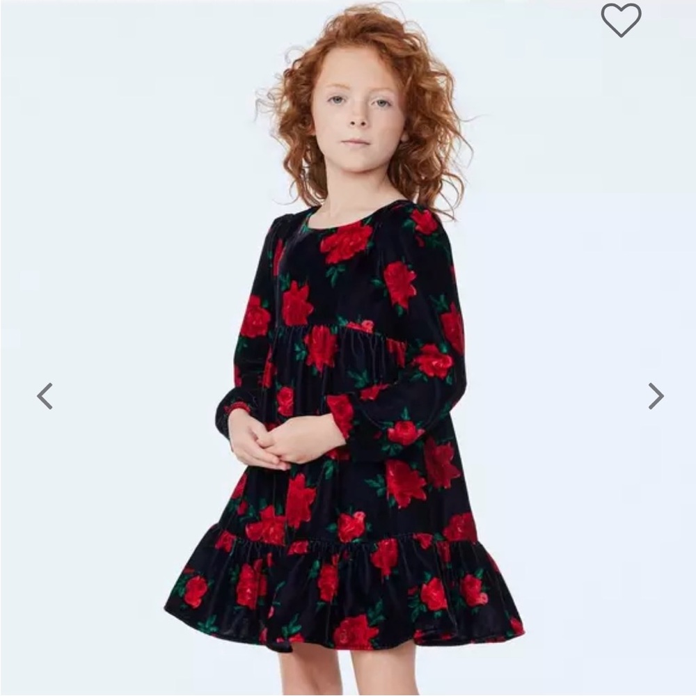 Janie and Jack Rose Velvet Dress